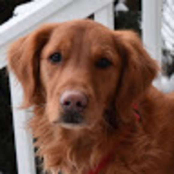 Meet your Posher, Bellefreligh - Picture 1 of 1